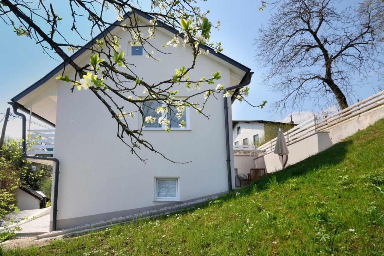 Apartment Micnek Блед Экстерьер фото